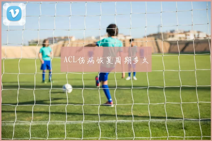 ACL伤病恢复周期多久