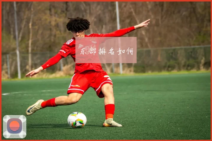 东部排名如何